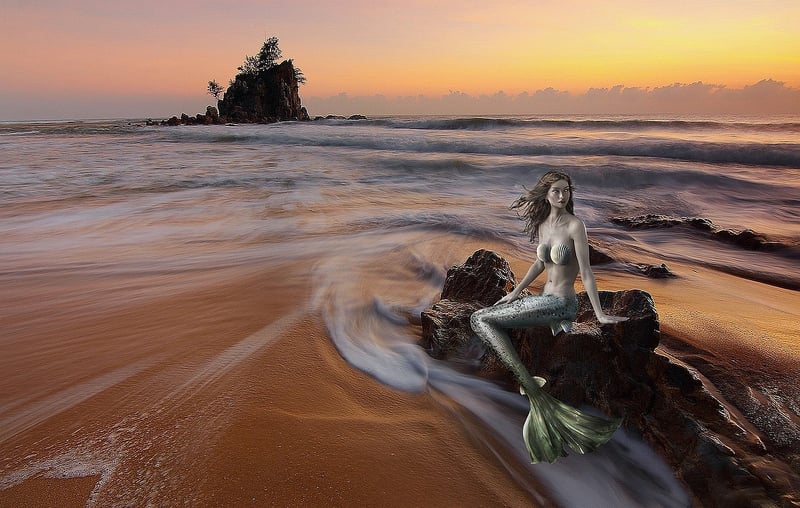 Mermaid Costume