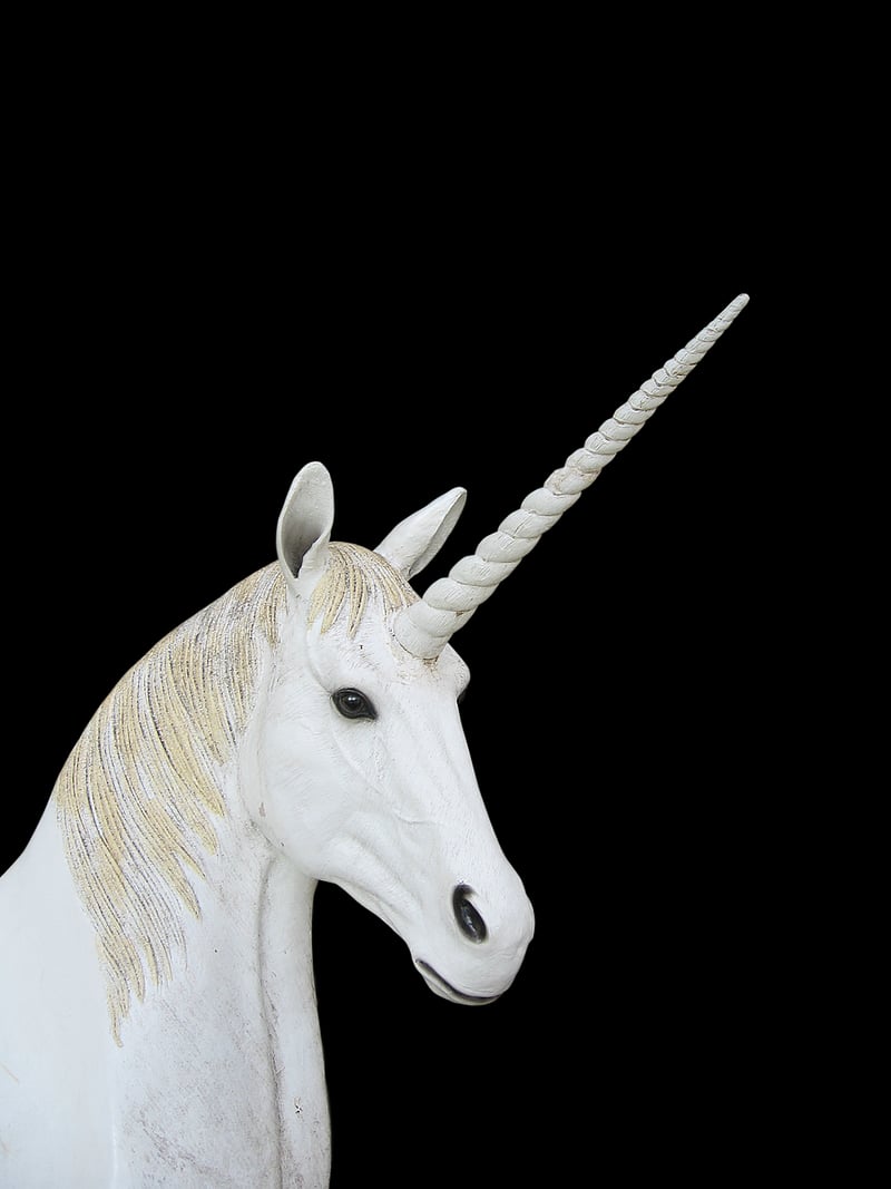 Unicorn Costume